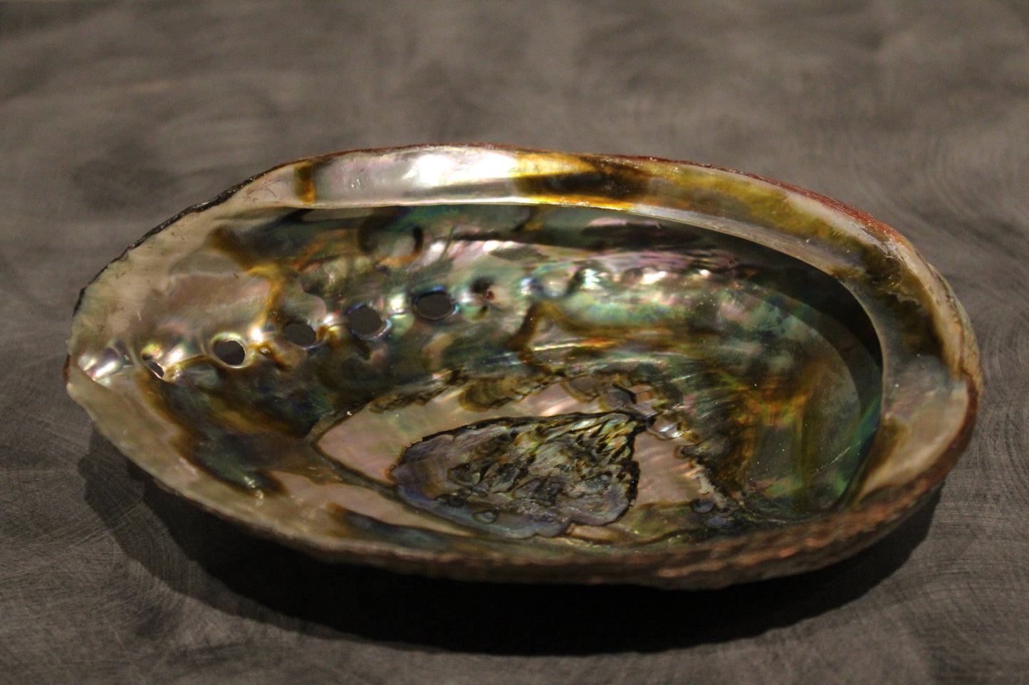 Abalone Shell Incense Dish